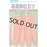 送料無料　[人参]　高農鮮紅五寸　20ml　(株)タカヤマシード