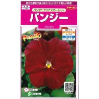 送料無料　花の種　パンジー　パシオ　クリアスカーレット　約34粒　(株)サカタのタネ　実咲350（026135）