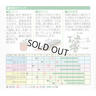 画像2: 送料無料　[なす]　くろべえ　0.6ml(およそ70粒)　(株)渡辺採種場