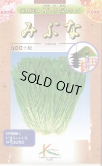 送料無料　[葉物]　京野菜　みぶな(晩生種)　7ml　(株)タカヤマシード