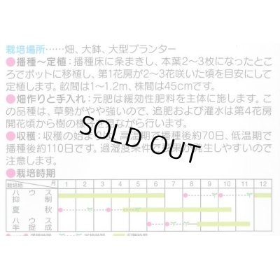 画像2: 送料無料　[トマト/ミニトマト]　ミニキャロル　約14粒　(株)サカタのタネ　実咲450（002818）