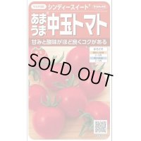 送料無料　[トマト/中玉トマト]　シンディースイート　約21粒　（株）サカタのタネ 実咲550（002816）