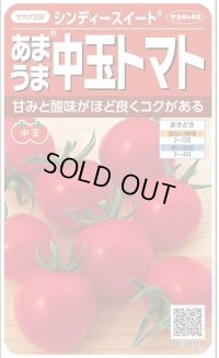 送料無料　[トマト/中玉トマト]　シンディースイート　約21粒　（株）サカタのタネ 実咲550（002816）