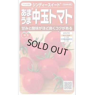 画像1: 送料無料　[トマト/中玉トマト]　シンディースイート　約21粒　（株）サカタのタネ 実咲550（002816）