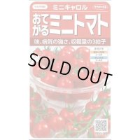 送料無料　[トマト/ミニトマト]　ミニキャロル　約14粒　(株)サカタのタネ　実咲450（002818）