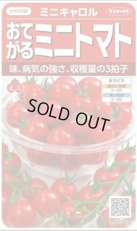 送料無料　[トマト/ミニトマト]　ミニキャロル　約14粒　(株)サカタのタネ　実咲450（002818）