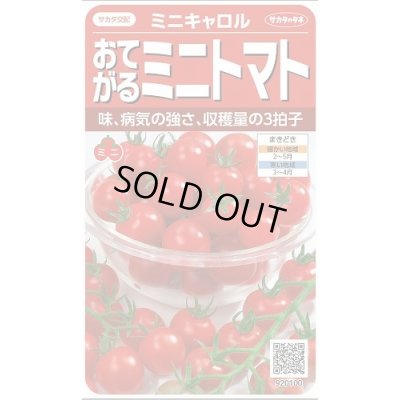 画像1: 送料無料　[トマト/ミニトマト]　ミニキャロル　約14粒　(株)サカタのタネ　実咲450（002818）