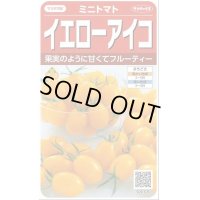 送料無料　[トマト/ミニトマト]　イエローアイコ　13粒　(株)サカタのタネ実咲550（002823）