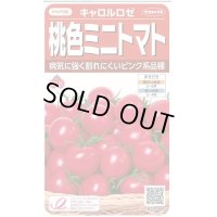 送料無料　[トマト/ミニトマト]　キャロルロゼ(すずなりピンク)13粒　(株)サカタのタネ実咲550（002825）