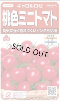 送料無料　[トマト/ミニトマト]　キャロルロゼ(すずなりピンク)13粒　(株)サカタのタネ実咲550（002825）