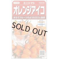 送料無料　[トマト/ミニトマト]　オレンジアイコ　13粒　(株)サカタのタネ　実咲550 （002827）