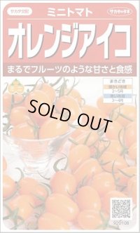 送料無料　[トマト/ミニトマト]　オレンジアイコ　13粒　(株)サカタのタネ　実咲550 （002827）