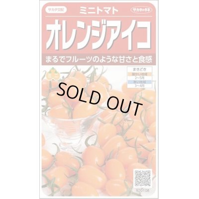 画像1: 送料無料　[トマト/ミニトマト]　オレンジアイコ　13粒　(株)サカタのタネ　実咲550 （002827）