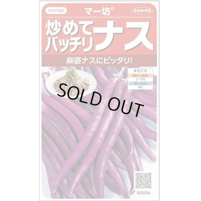 画像1: 送料無料　[なす]　マー坊　約60粒　(株)サカタのタネ　実咲550（002835）