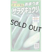 送料無料　[キュウリ]　フリーダム　18粒　　(株)サカタのタネ実咲（002844）