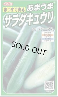 送料無料　[キュウリ]　フリーダム　18粒　　(株)サカタのタネ実咲（002844）