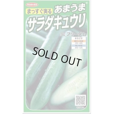 画像1: 送料無料　[キュウリ]　フリーダム　18粒　　(株)サカタのタネ実咲（002844）