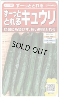 送料無料　[キュウリ]　ずーっととれる　約16粒　(株)サカタのタネ　実咲550（002847）