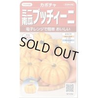 送料無料　[かぼちゃ]　プッチィーニ　7粒　(株)サカタのタネ　実咲450（002870）