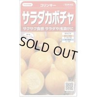 送料無料　[かぼちゃ]　コリンキー　約10粒　(株)サカタのタネ　実咲450（002879）