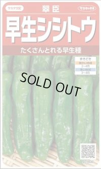 送料無料　[ししとう]　翠臣　約30粒　(株)サカタのタネ　実咲450 （002905）