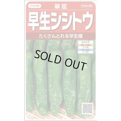 画像1: 送料無料　[ししとう]　翠臣　約30粒　(株)サカタのタネ　実咲450 （002905）