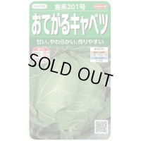 送料無料　[キャベツ]　金系201号　約65粒　(株)サカタのタネ　実咲450（002912）