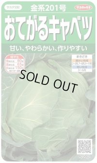 送料無料　[キャベツ]　金系201号　約65粒　(株)サカタのタネ　実咲450（002912）