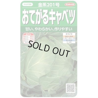 画像1: 送料無料　[キャベツ]　金系201号　約65粒　(株)サカタのタネ　実咲450（002912）