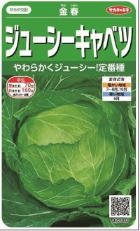 送料無料　[キャベツ]　金春　約65粒　(株)サカタのタネ　実咲450（002913）