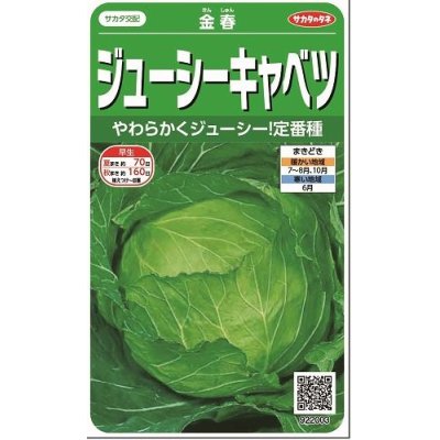 画像1: 送料無料　[キャベツ]　金春　約65粒　(株)サカタのタネ　実咲450（002913）