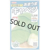 送料無料　[キャベツ]　新藍　約65粒　(株)サカタのタネ　実咲450（002914）