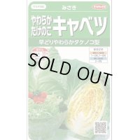 送料無料　[キャベツ]　みさき　約75粒　(株)サカタのタネ　実咲450（002917）