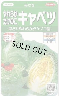 送料無料　[キャベツ]　みさき　約75粒　(株)サカタのタネ　実咲450（002917）