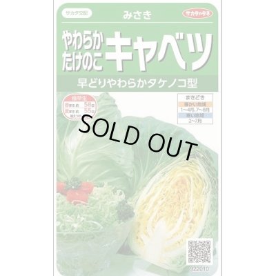 画像1: 送料無料　[キャベツ]　みさき　約75粒　(株)サカタのタネ　実咲450（002917）