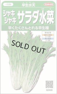 送料無料　[葉物]　みず菜　早生水天　約1200粒　(株)サカタのタネ　実咲350（002964）