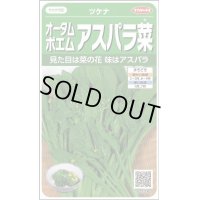 送料無料　[葉物]　オータムポエム　約260粒　(株)サカタのタネ　実咲450（002990）