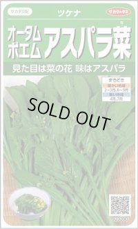 送料無料　[葉物]　オータムポエム　約260粒　(株)サカタのタネ　実咲450（002990）