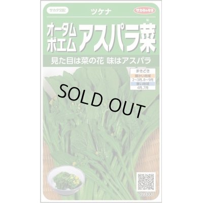 画像1: 送料無料　[葉物]　オータムポエム　約260粒　(株)サカタのタネ　実咲450（002990）