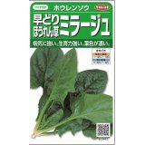送料無料　[ほうれんそう]　ミラージュ　約750粒　(株)サカタのタネ　実咲250（003007）