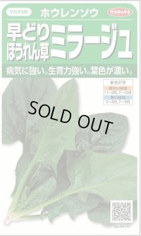 送料無料　[ほうれんそう]　ミラージュ　約750粒　(株)サカタのタネ　実咲250（003007）