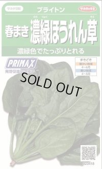 送料無料　[ほうれんそう]　ブライトン　約900粒　(株)サカタのタネ　実咲350（003009）