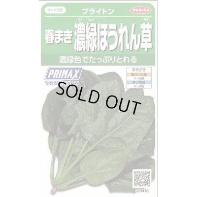 画像1: 送料無料　[ほうれんそう]　ブライトン　約900粒　(株)サカタのタネ　実咲350（003009）