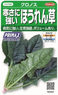 送料無料　[ほうれんそう]　クロノス　約900粒　(株)サカタのタネ　実咲350（003012）