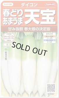 送料無料　[大根]　天宝　約130粒　(株)サカタのタネ　実咲450（003064）