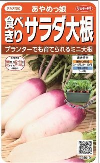 送料無料　[大根]　ミニダイコン　あやめっ娘　約130粒　(株)サカタのタネ　実咲450（003075）