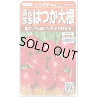 送料無料　[大根]　はつかだいこん　レッドチャイム　約350粒　(株)サカタのタネ　実咲350（003093）