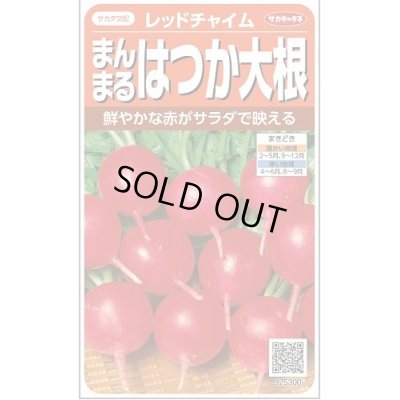 画像1: 送料無料　[大根]　はつかだいこん　レッドチャイム　約350粒　(株)サカタのタネ　実咲350（003093）