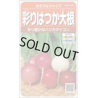 送料無料　[大根]　はつかだいこん　カラフルファイブ　約350粒　(株)サカタのタネ　実咲250（003094）