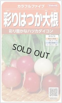 送料無料　[大根]　はつかだいこん　カラフルファイブ　約350粒　(株)サカタのタネ　実咲250（003094）